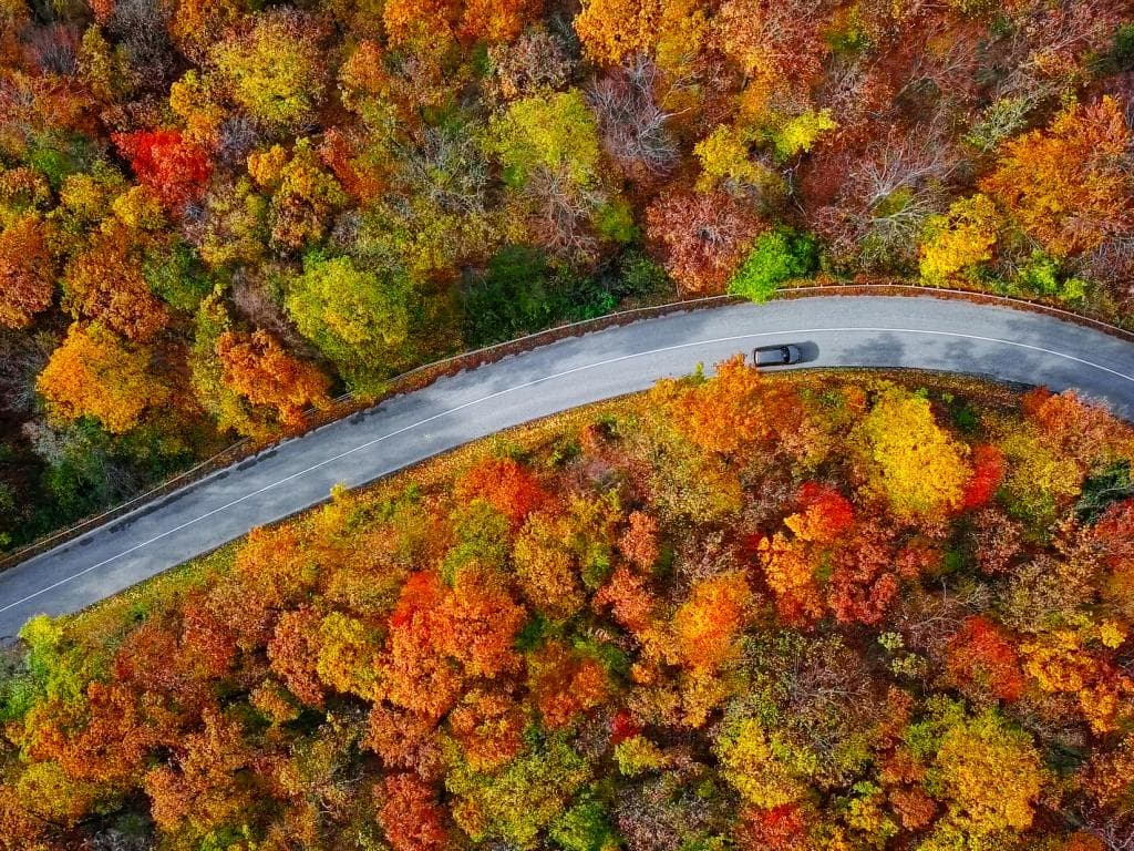 Autumn colors L