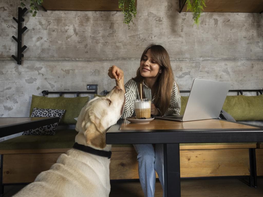 Generic Winter 2025 Box 3